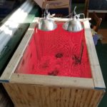 brooder lid and and lights
