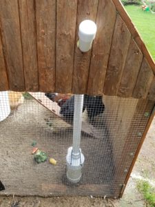 PVC chicken feeder with outside access