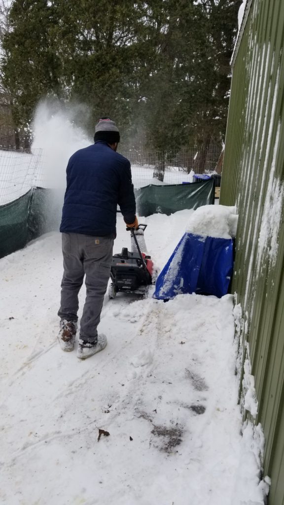 Hubby removing snow from the chicken run