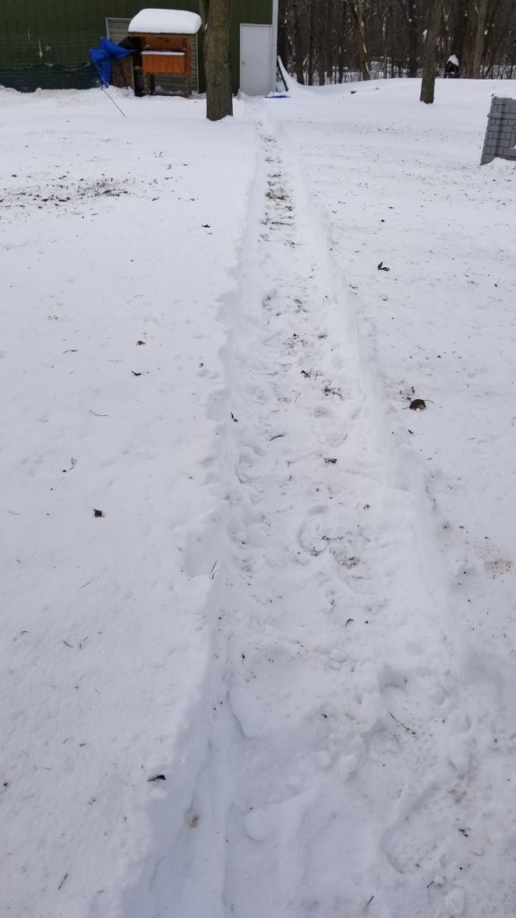 Paths through the snow
