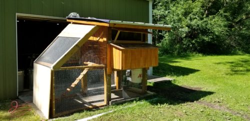 Finished building a chicken coop